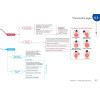 Cartes mentales UE 2.8