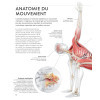 La science du stretching - Comprendre l'Anatomie et la Physiologie pour maximiser sa mobilité