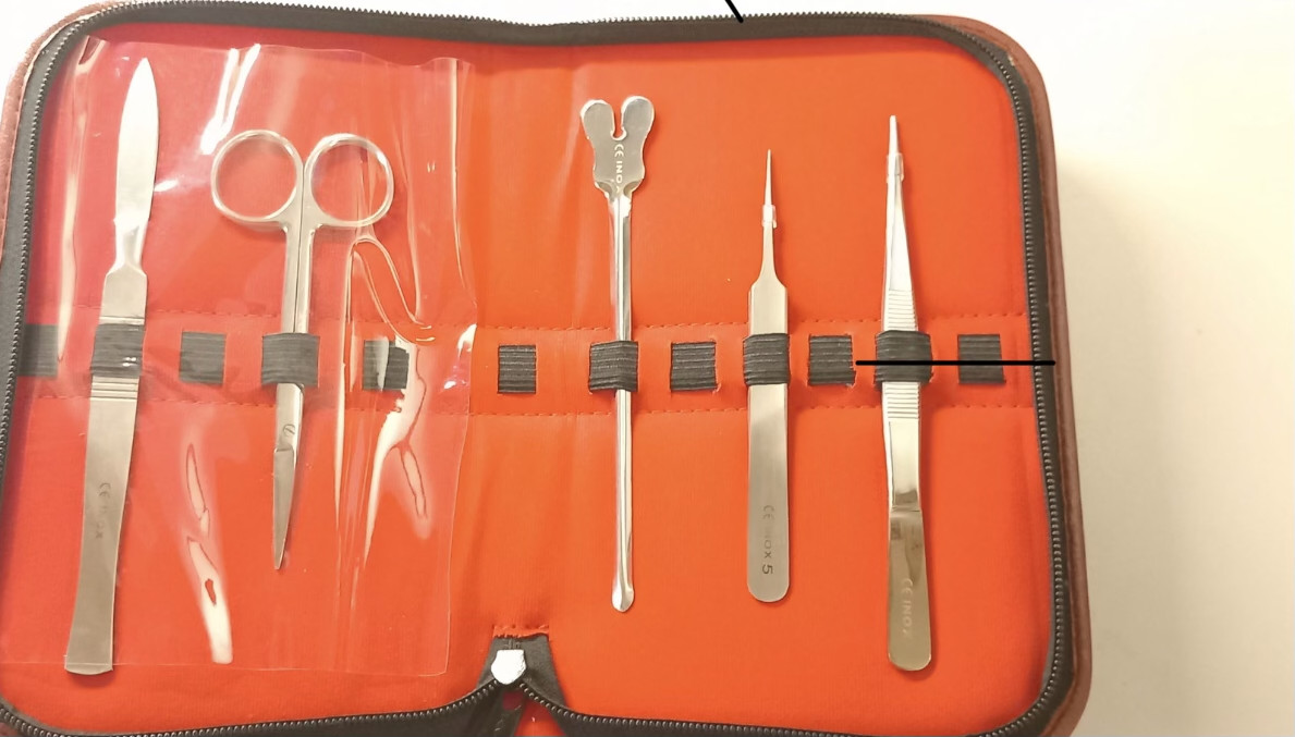 Trousse à dissection