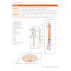 Les muscles, Anatomie clinique - Tête, Tronc, Membres - Biomécanique, Palpation, Pathologie