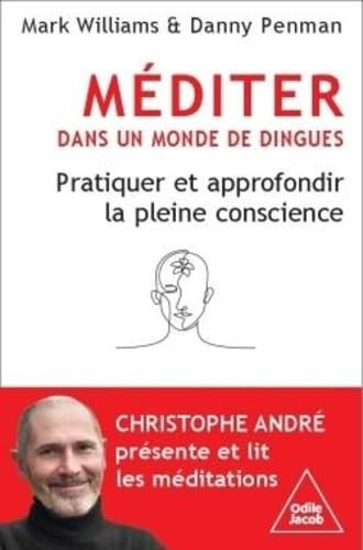 Méditer dans un monde de dingues - Pratiquer et approfondir la pleine conscience