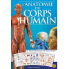 L'Anatomie du Corps Humain - 24 Grandes Planches Illustrées
