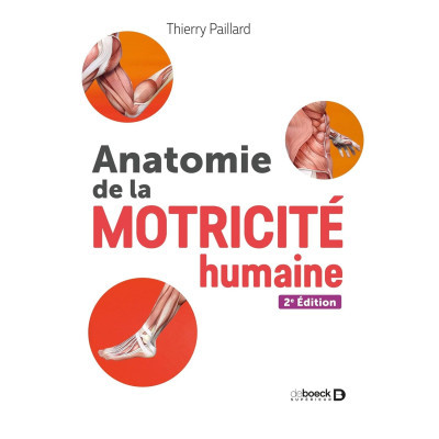 Anatomie de la motricité...
