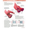 Colorier toute l'Anatomie - 80 illustrations en couleurs pour apprendre, 220 schémas à colorier pour réviser