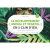 Le développement animal et végétal en 1 clin d’œil
