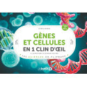 Gènes et cellules en un 1 clin d’œil