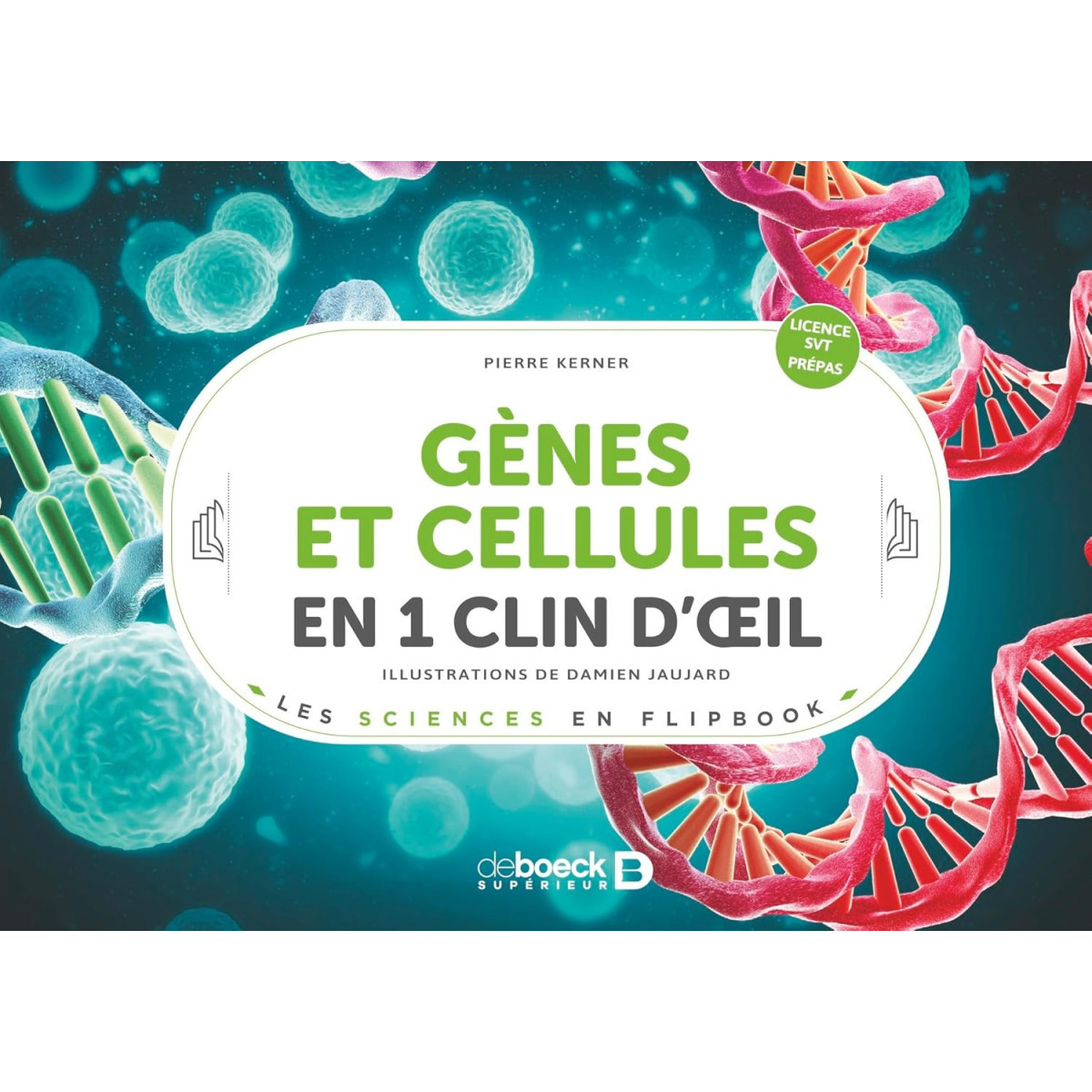 Gènes et cellules en un 1 clin d’œil