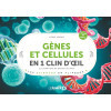 Gènes et cellules en un 1 clin d’œil