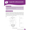 Biochimie, Biologie cellulaire, Anatomie - L'essentiel pour préparer ses études en Santé