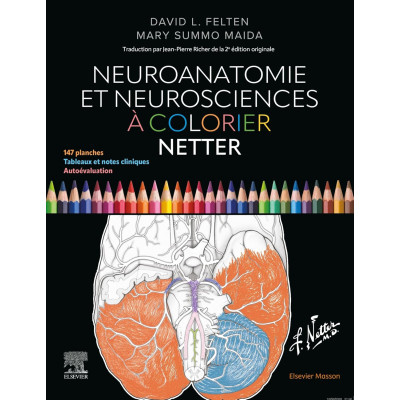 Neuroanatomie et...