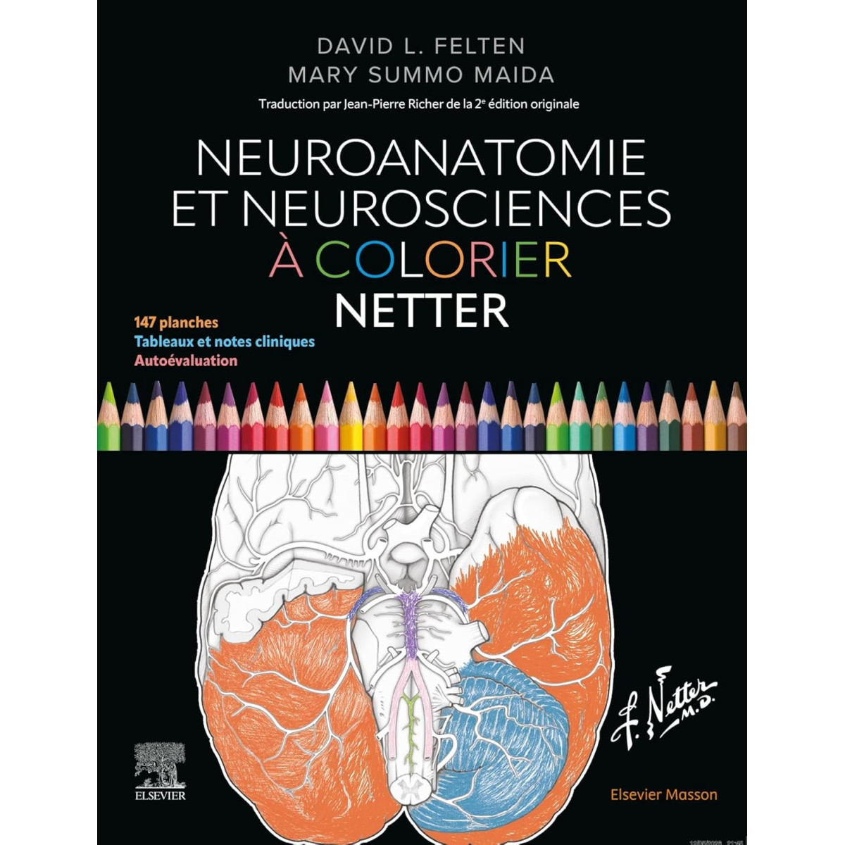 Neuroanatomie et Neurosciences à colorier Netter