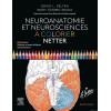 Neuroanatomie et Neurosciences à colorier Netter