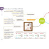 Diplôme Infirmier - DEI - Cartes mentales - Anatomie Physiologie