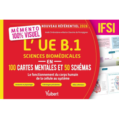 Mémento 100 % visuel - L’UE...