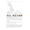 Précis d'allergologie