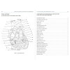 Anatomie en pratique - Cahier d'activités pour réussir en STAPS - Colorier, annoter, mémoriser