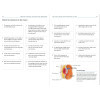 Anatomie en pratique - Cahier d'activités pour réussir en STAPS - Colorier, annoter, mémoriser