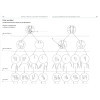Biologie en pratique - Cahier d'activités pour réussir en Sciences - Colorier, annoter, mémoriser