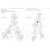 Biologie en pratique - Cahier d'activités pour réussir en Sciences - Colorier, annoter, mémoriser