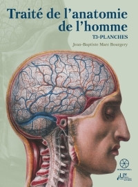Traité de l'Anatomie de...