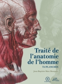 Traité de l'Anatomie de...