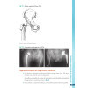 Situations prévalentes - Orthopédie-Traumatologie