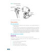 Situations prévalentes - Orthopédie-Traumatologie