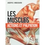 Les muscles : actions et palpation