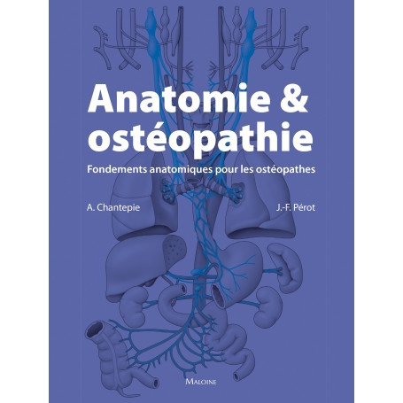 Anatomie et ostéopathie