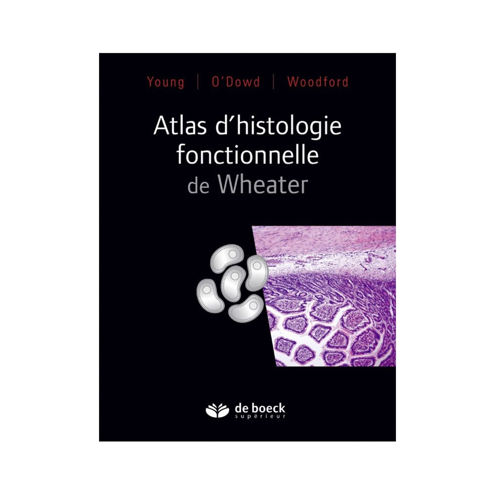 Atlas D Histologie Fonctionnelle De Wheater Pdf