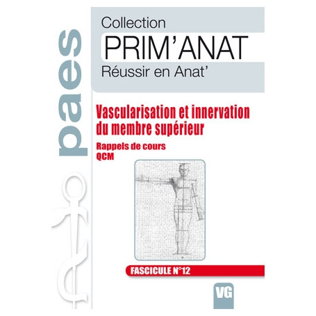 Vascularisation et innervation du membre supérieur