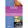 DOC protocoles : gynécologie-obstétrique