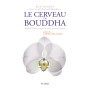 Le cerveau de Bouddha