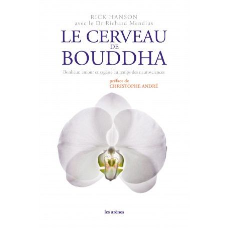 Le cerveau de Bouddha