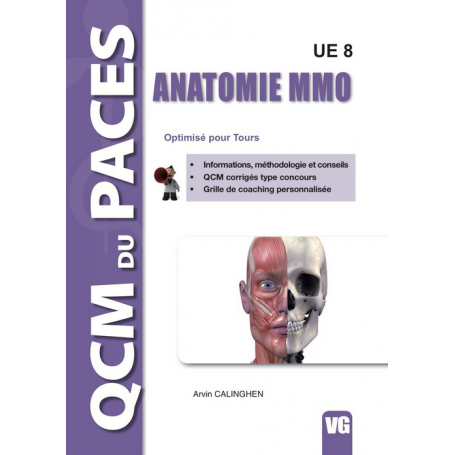 Anatomie MMO UE8 - Tours