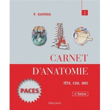 Carnet d'anatomie - Tête, cou, dos