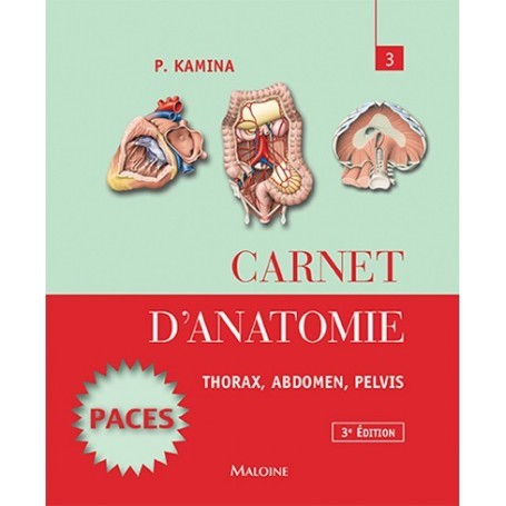 Carnet d'anatomie : thorax, abdomen, pelvis