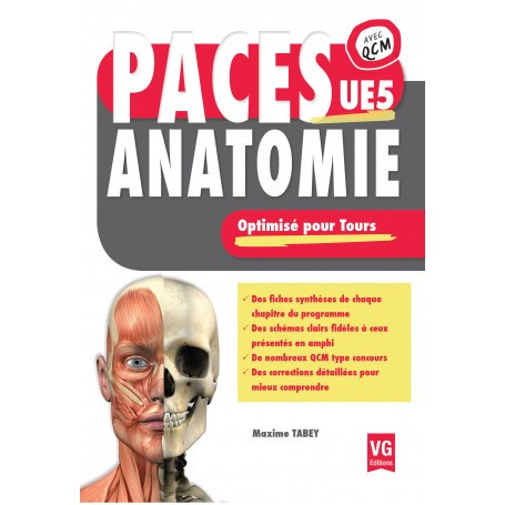 Anatomie UE5 - Tours