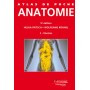 Anatomie, tome 2 : viscères