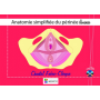 Anatomie simplifiée du périnée féminin