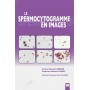 Le spermocytogramme en images