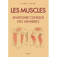 Les muscles