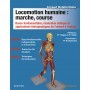 Locomotion humaine : marche, course